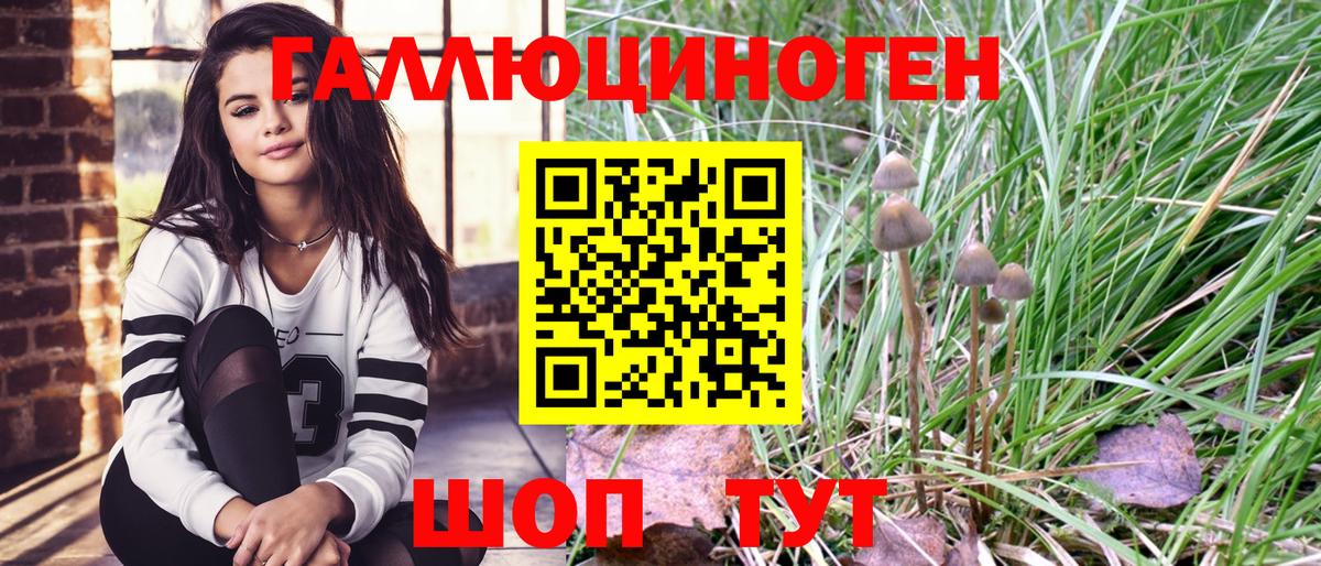 Галлюциногенные грибы Psilocybine cubensis Мичуринск
