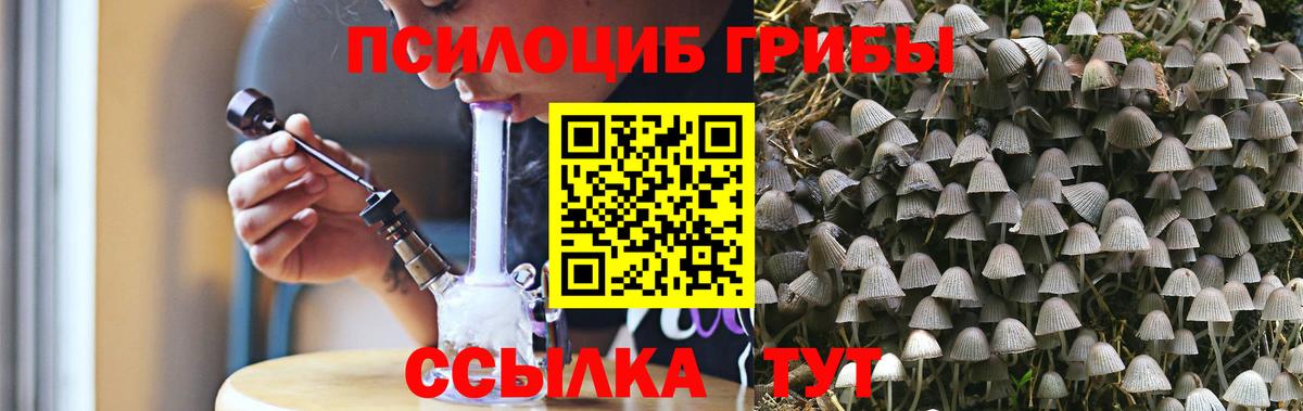 Галлюциногенные грибы мицелий  Галлюциногенные грибы прущие грибы  Мичуринск  Вход с VPN 